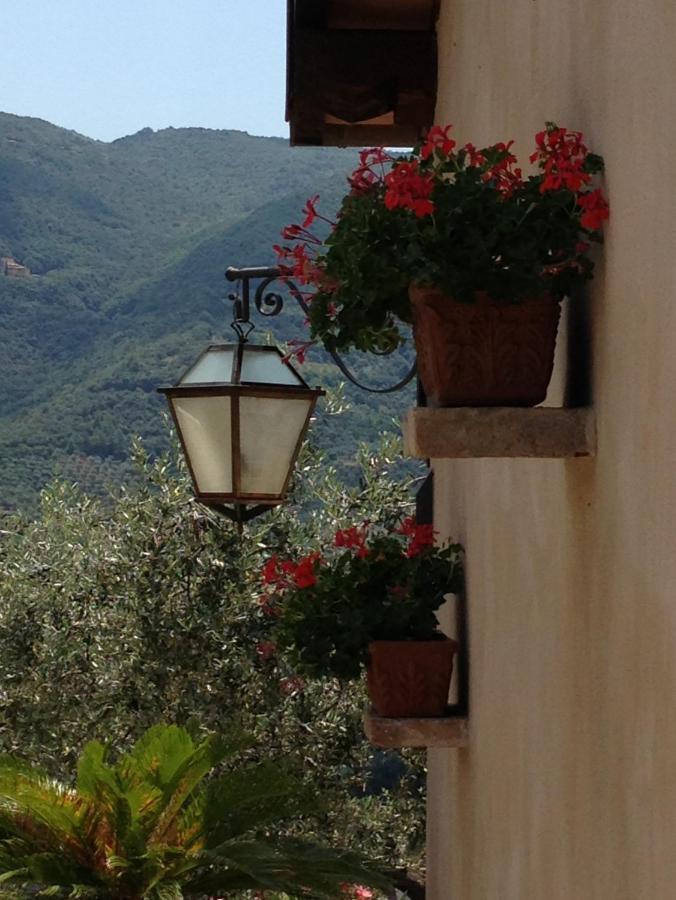 Agriturismo Collerisana สโปเลโต ภายนอก รูปภาพ