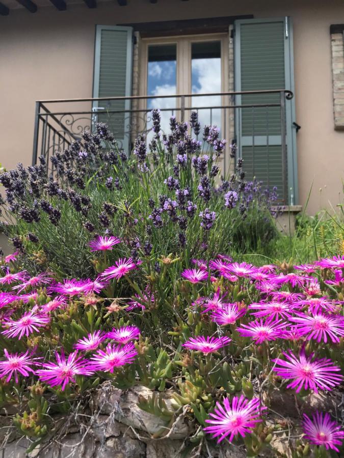 Agriturismo Collerisana สโปเลโต ภายนอก รูปภาพ
